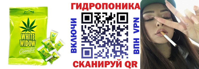 Cannafood марихуана  блэк спрут ТОР  Терек  купить наркотики цена 
