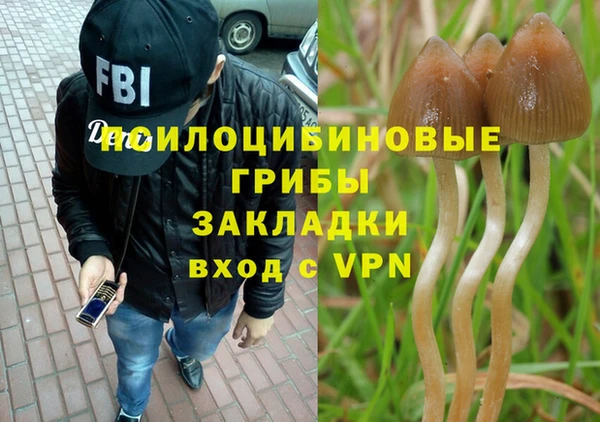 скорость Лиски