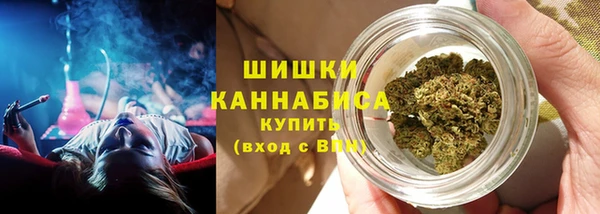 стаф Липки