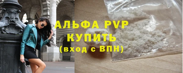 стаф Липки