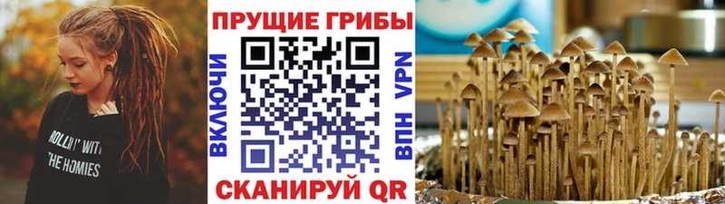 нарко площадка наркотические препараты  Терек  Псилоцибиновые грибы мухоморы 
